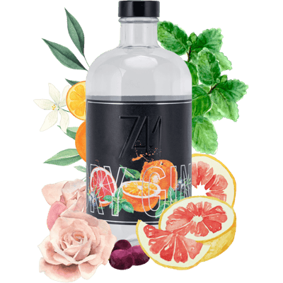 741 - Heilbronn Dry Gin