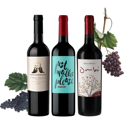 Südamerika Wein Trio - Probierpaket (1x Malbec + 1x Cabernet Sauvignon + 1x Tannat)