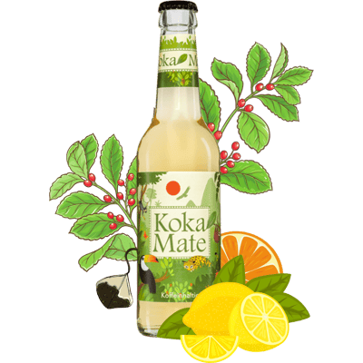 Koka Mate - Organic refreshing drink with coca plant extract - 18 pack