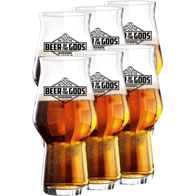 6x Craftmaster One 300ml beer glasses