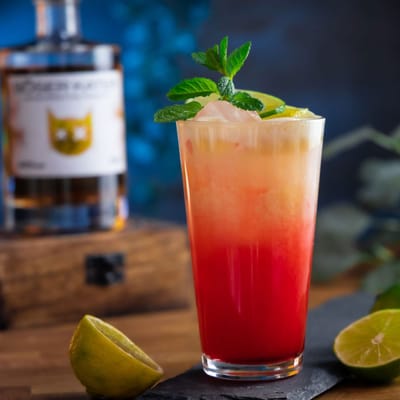 Böser Kater Fruity Mango Gin