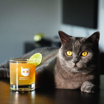 Magic Grapefruit Gin mit Farbwechsel