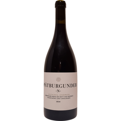 Spätburgunder -N- 2020 - Bio-Rotwein