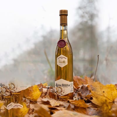 Schwechower Spirituose HASELNUSS - Hazelnut schnapps