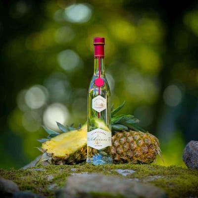 Schwechower Obstbrand ANANAS - Pineapple brandy - limited edition