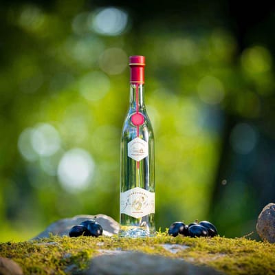 Schwechow fruit brandy ZWETSCHGE - plum brandy