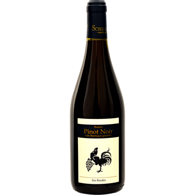 Spätburgunder 2019 - Rotwein