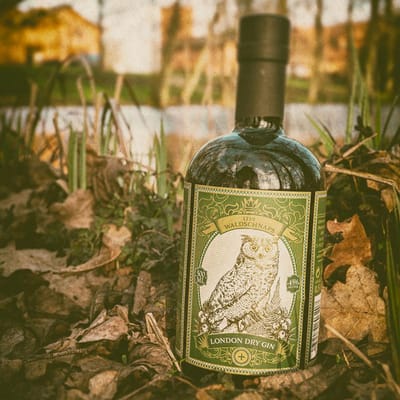 1229 Waldschnaps GIN - London Dry Gin