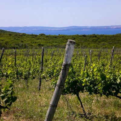 Konstantara Charites Petres semi-sweet organic red wine