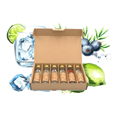 Gin Tasting Set | Gift Set | Tasting Set: Germany - Vita Dulcis (6x Gin Minis)