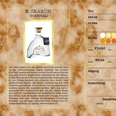 Gin Adventskalender Edition 2025 - Premium 3
