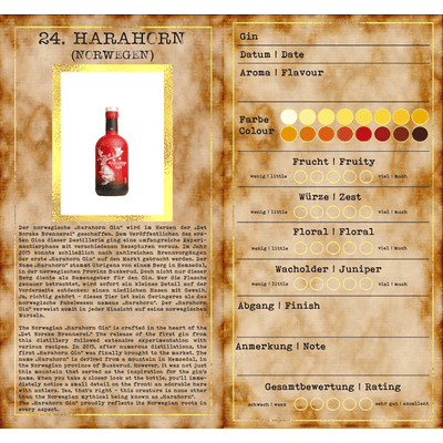 Gin Adventskalender Edition 2025 - Klassik 3