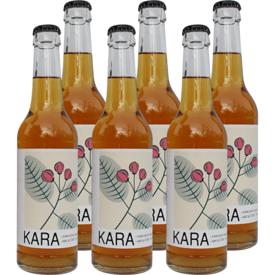 6x Kara Limo - Cascara Apfel Limonade