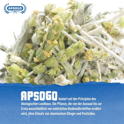 Apsogo Griechischer Bio Bergtee
