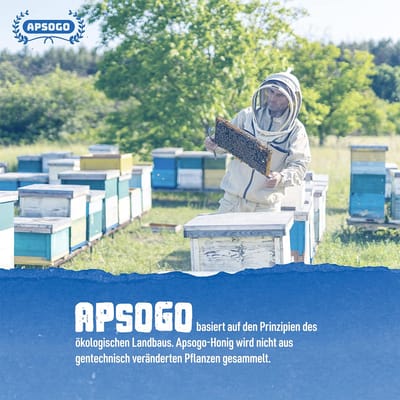 Apsogo Bio Thymianhonig aus Griechenland 5