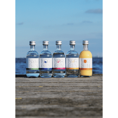NORGIN Tasting Box (1x London Dry Gin + 1x Cherry & Mint Gin + 1x Orange & Almond Gin + 1x Salty Gin + 1x Egg Liqueur)