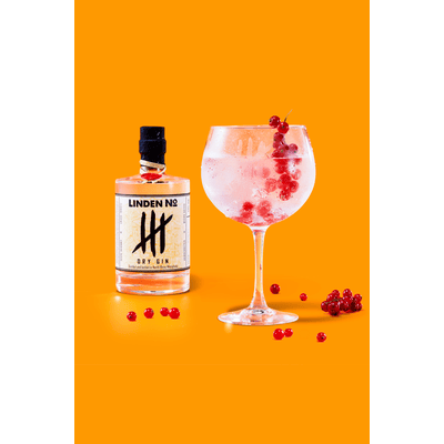 D.R. Lindens Linden No. 4 Dry Gin - London Dry Gin