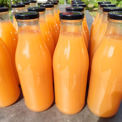 "Gravensteiner" apple syrup
