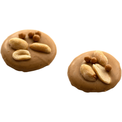 Schokoladentaler Salty Peanut