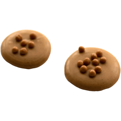 Schokoladentaler Salzkaramell 3