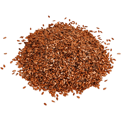 Bio Leinsamen