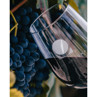 Pozo de Luna Malbec 2018