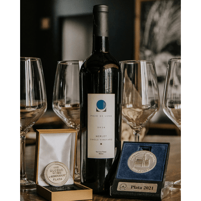 Pozo de Luna Merlot 2017