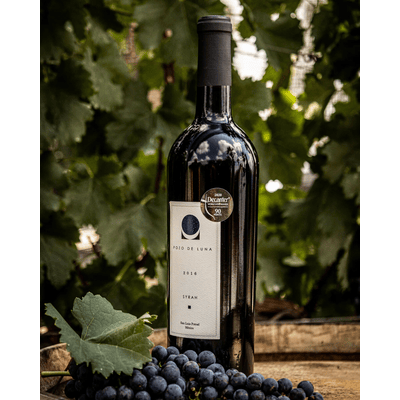 Pozo de Luna Syrah 2017 3