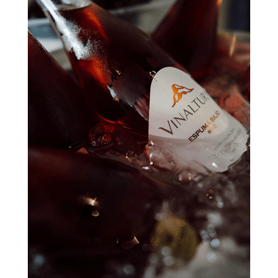 Vinaltura Espuma Bajío Rosé 2019