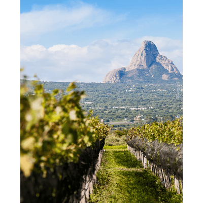 Vinaltura Sauvignon Blanc 2020
