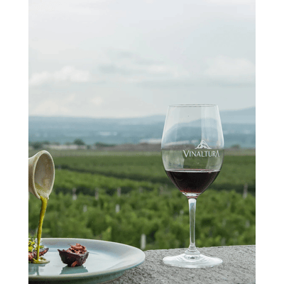 Vinaltura Tinto Bajío 2019