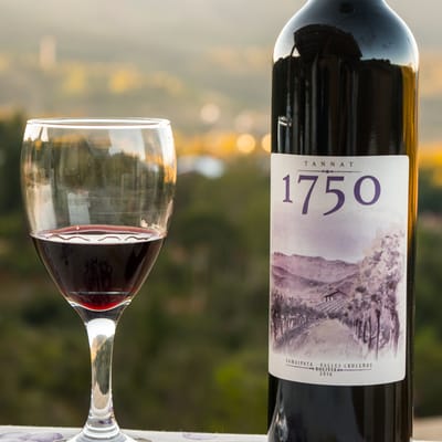 Vinos 1750 Tannat - Rotwein