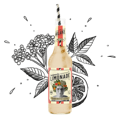 15x AiLaike Bio-Limonade Holunder-Grapefruit