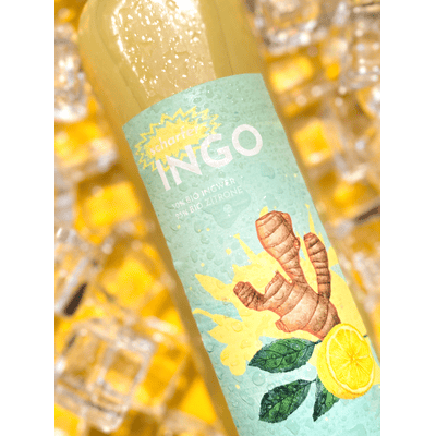 Hannheinehof Scharfer Ingo - Ginger-lemon shot