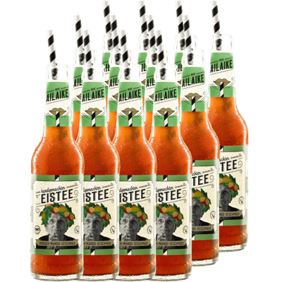 15x AiLaike Bio-Eistee Pfirsich-Mango