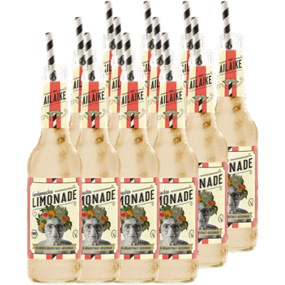 15x AiLaike Bio-Limonade Holunder-Grapefruit