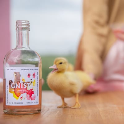 3x GNISTA Pink - Non-alcoholic gin