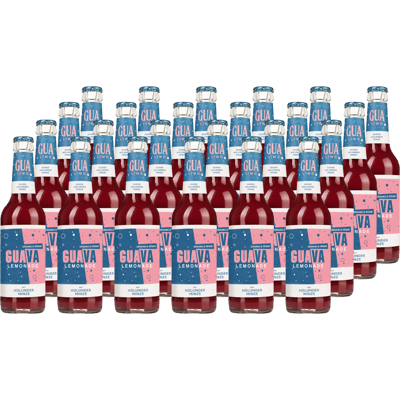 24x GUA LIMO Elderberry & Mint - Organic Lemonade