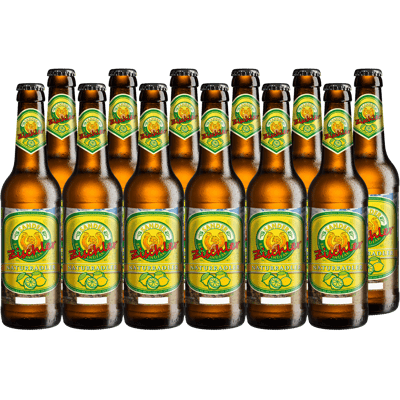 12x Braumanufaktur Sander Zischler Naturradler