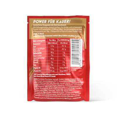 PWRGUM Zimt 10er-Box - Energy-Kaugummi