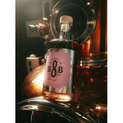 B8B Pflaumen Likör
