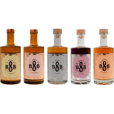 B8B Starting 5 tasting package (1x Dry Gin Lemon + 1x Dry Gin Raspberry + 1x Glüh Gin + 1x Gipfel Gin + 1x Plum Liqueur)