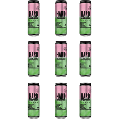 9x Rudy's Kombucha - Hard Kombucha Guava