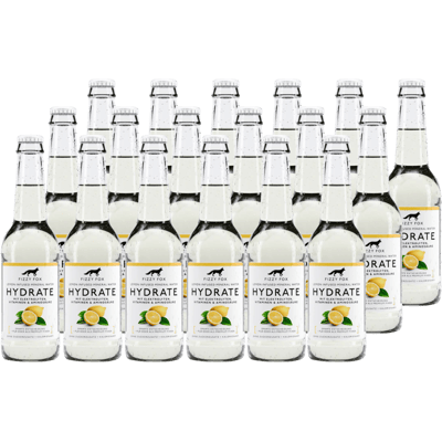 18x Fizzy Fox Hydrate - Lemon Elektrolyt Soda