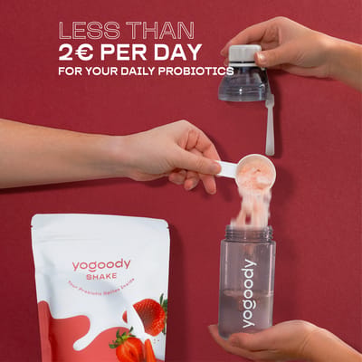 YOGOODY Shake Family Pack - Erdbeere