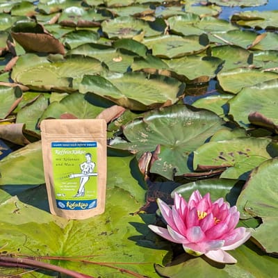 natur-reich-inform Bio KoffeinKakao mit Kolanuss und Maca Ungesüßt