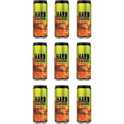 9x Rudy's Kombucha - Hard Kombucha Mandarin & Yuzu - alcoholic Kombucha