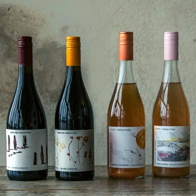 GNISTA Non-Wine Tasting Pack (4x alkohlfreie Wein-Alternativen)