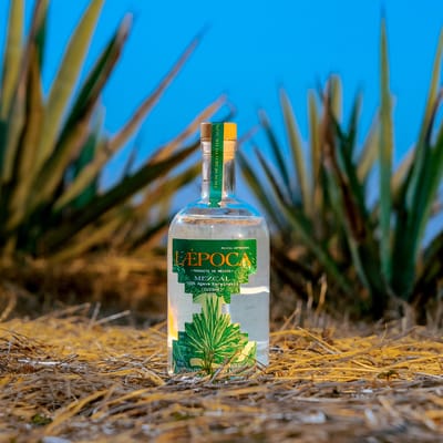 LAEPOCA Mezcal Cuishe | Joven & Artesanal