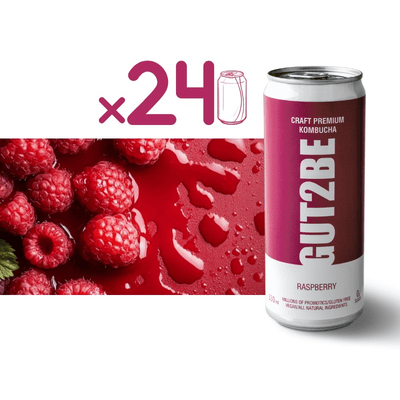 24x GUT2BE Daheim-Qualität CRAFT PREMIUM-Kombucha fermentierter Tee - Himbeere